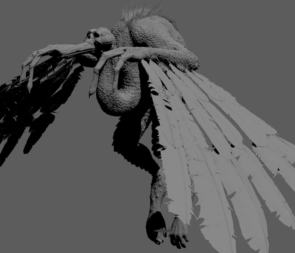 体の調が悪い🐔