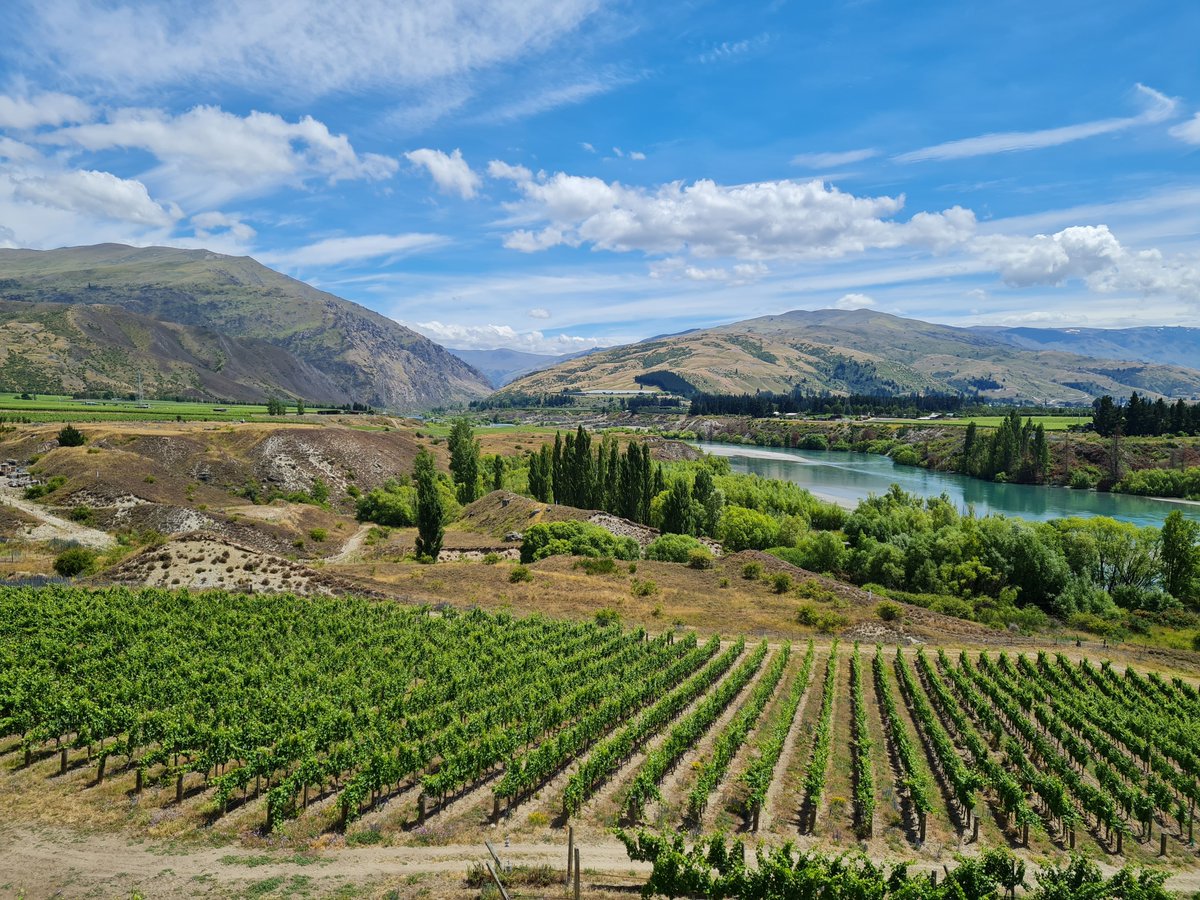 My last call for abstracts for the International Conference on Geomorphology in Christchurch confer.co.nz/icg2026/ - last day for abstracts June 13th   Oh what lovely vineyards, sorry Central Otago landscape.  #photo #geomorphology #NewZealand #geology #geography