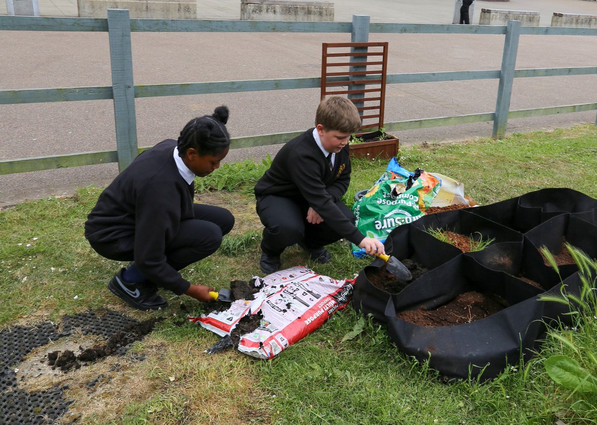 🌱 Huge thanks to <a href="/Tesco/">Tesco</a> Community Champions at Mayflower Retail Park for donating compost &amp; slug repellent to support our Lower Academy allotment!💚

Your support helps grow hands-on learning &amp; sustainability 🌻basildonloweracademy.org.uk/tesco-supports…

#ThankYouTesco #SchoolGarden <a href="/tesconews/">Tesco News</a>