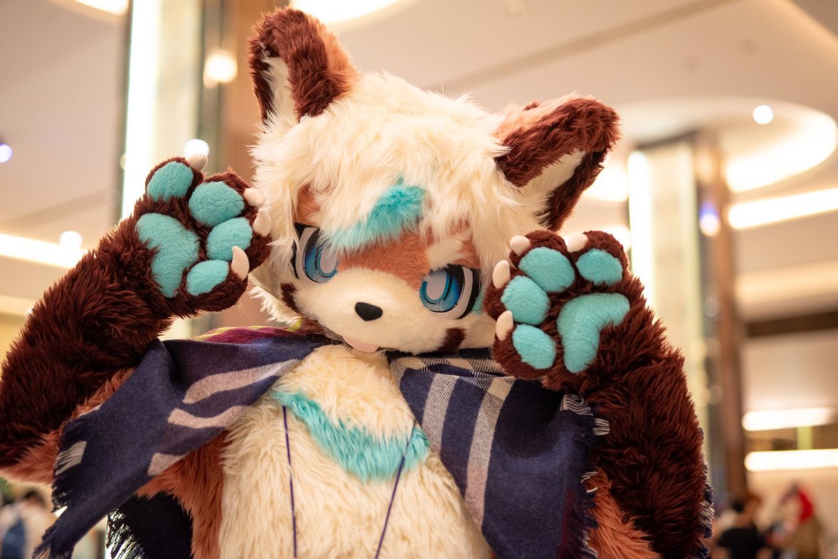 岚土お迎えして1年経ちました！
僕がお迎えした時はまだFurmonyっ子日本に2体しかいなかったけど今はどれぐらいいるんだろう？
これからもあちこちお出かけすると思うので見かけたら遊んであげてくださーい！🥰