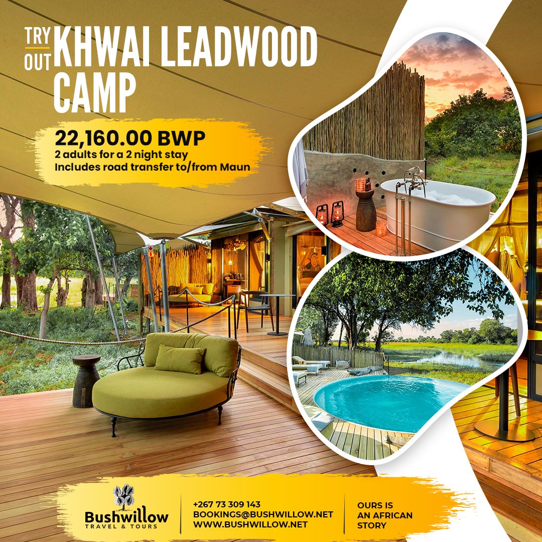 BushwillowTT's tweet photo. 𝗞𝗵𝘄𝗮𝗶 𝗟𝗲𝗮𝗱𝘄𝗼𝗼𝗱 𝗖𝗮𝗺𝗽
Situated in the Khwai Concession adjacent to Botswana’s renowned Moremi Game Reserve and perched on the tranquil banks of the Khwai River, the camp offers breathtaking panoramic views of pristine wilderness and abundant wildlife. https://t.co/Sea8c3fC4E