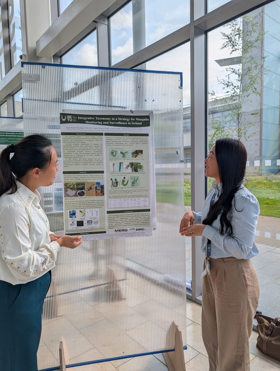 Denise O'Meara (@denomeara) on Twitter photo Congrats to PhD candidate Raysa Hetherington (<a href="/WITBiology/">SETU Biology (Waterford)</a>), who presented her poster at SETU’s Postgrad Research Conference in Carlow last week. Her research integrates morphological & molecular tools for accurate mosquito identification in Ireland. Congrats to PhD candidate Raysa Hetherington (<a href="/WITBiology/">SETU Biology (Waterford)</a>), who presented her poster at SETU’s Postgrad Research Conference in Carlow last week. Her research integrates morphological & molecular tools for accurate mosquito identification in Ireland.