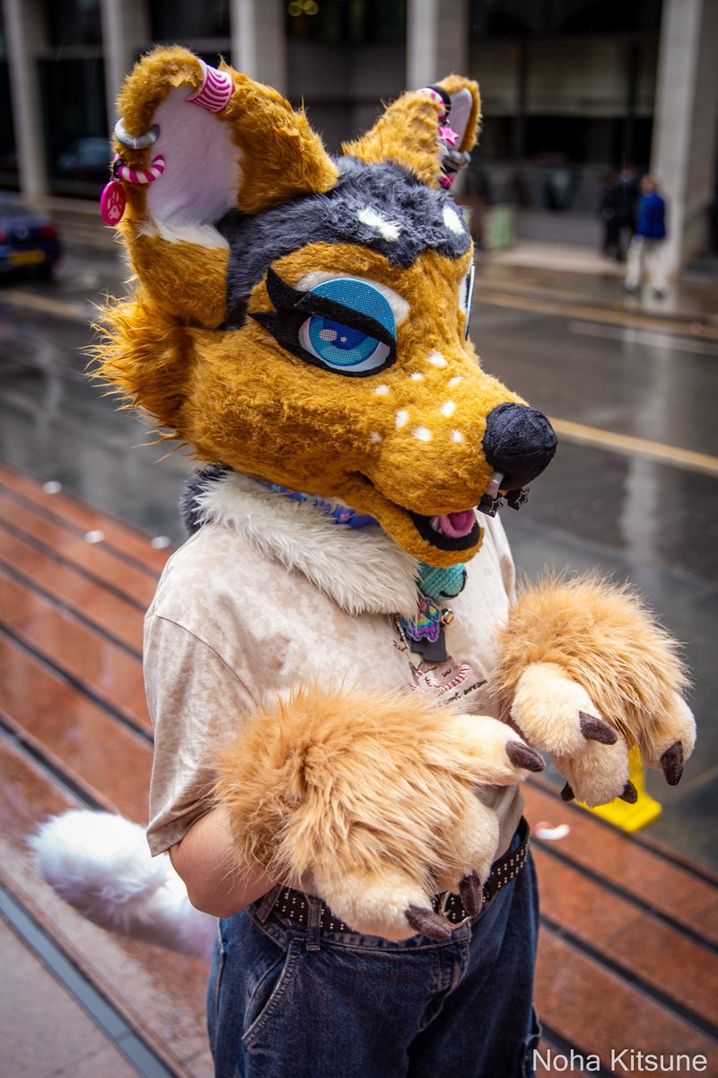 Alright mutts, who wants a soggy Biscuit?! 🐕🍪

• furry puppygirl fursuit •