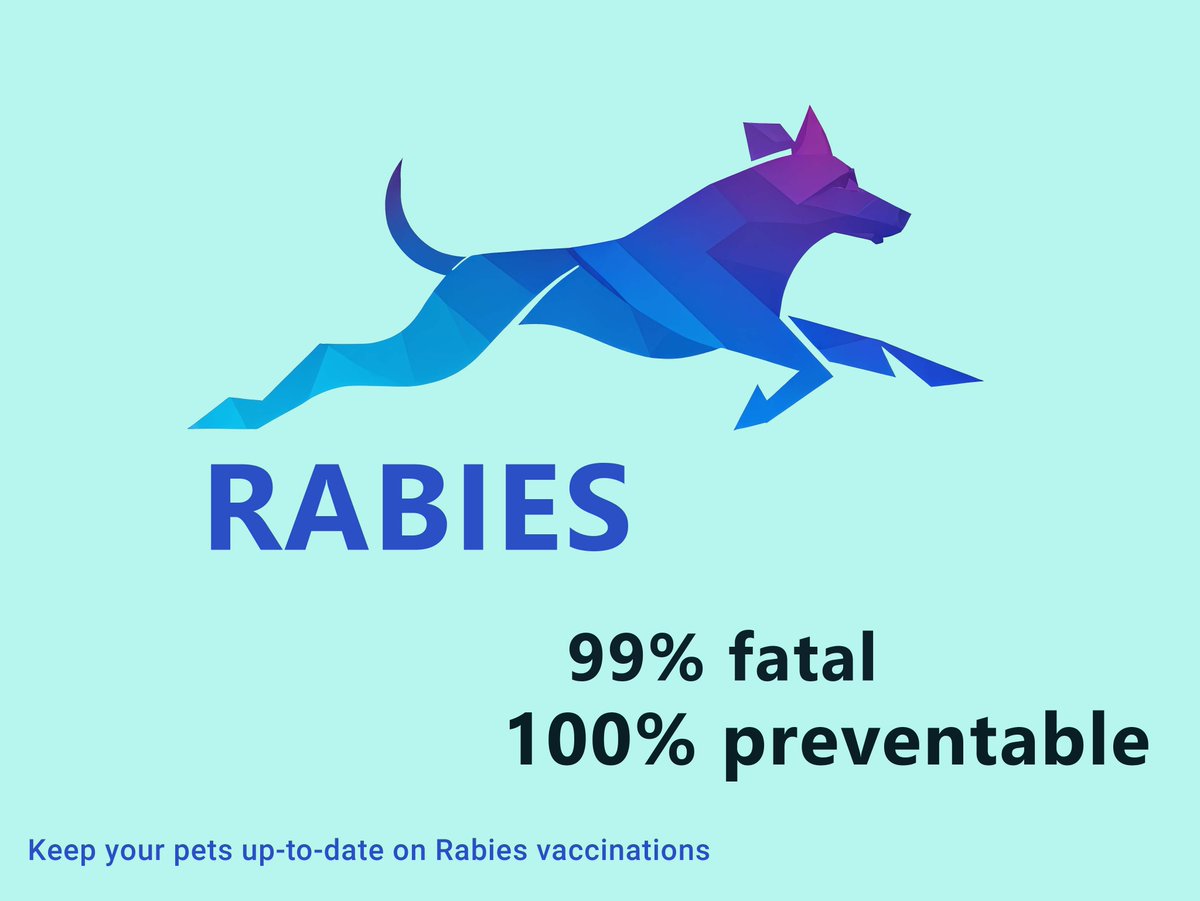 Unvaccinated pets can be infected with rabies from wild animals. Visit your veterinarian regularly to keep your furry friends up to date on their rabies vaccinations.  More information: chesco.org/rabies