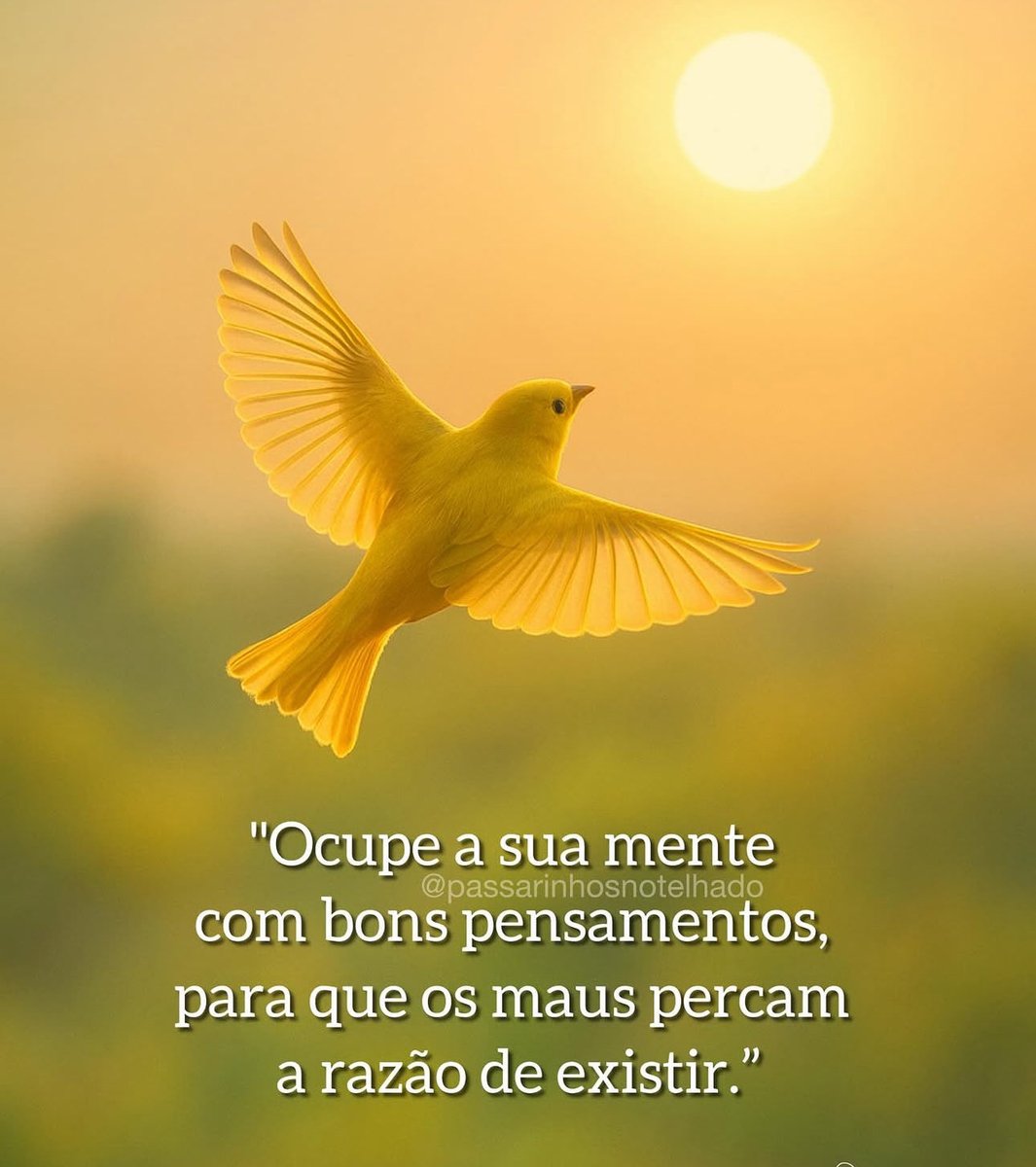 Deus abençoe você🙏