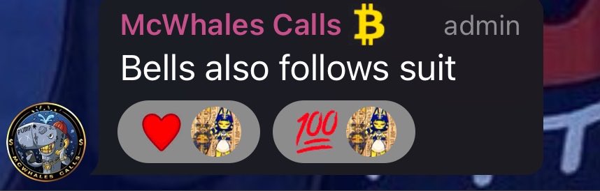 ceo🔔 tweet media