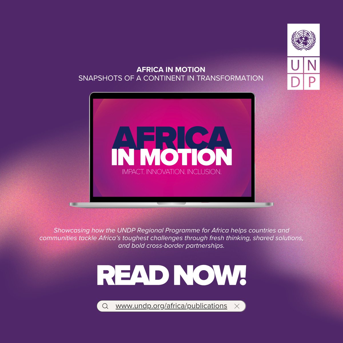 UNDP Africa tweet media