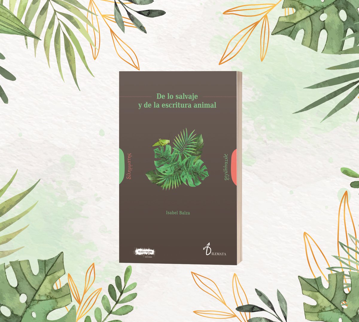 Isabel Balza tweet media