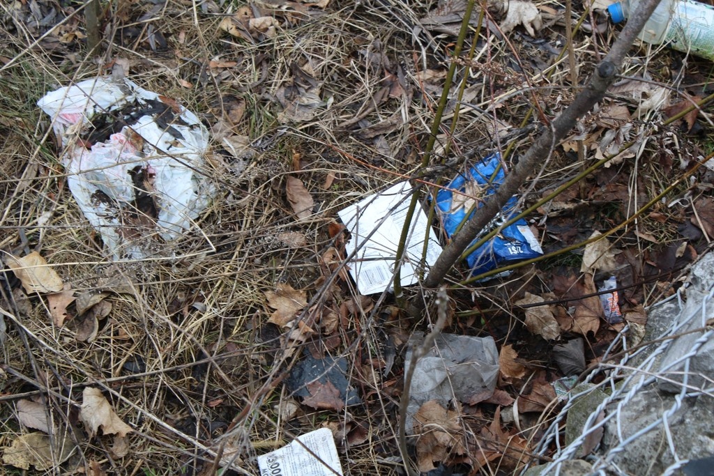 The Packaging Reduction and Recycling Infrastructure Act needs to pass through the NY Assembly before the end of session on June 17. 

Call your State Assembly Member and ask them to support Bill A1749. Four Assembly Member here: nyassembly.gov/mem/search/