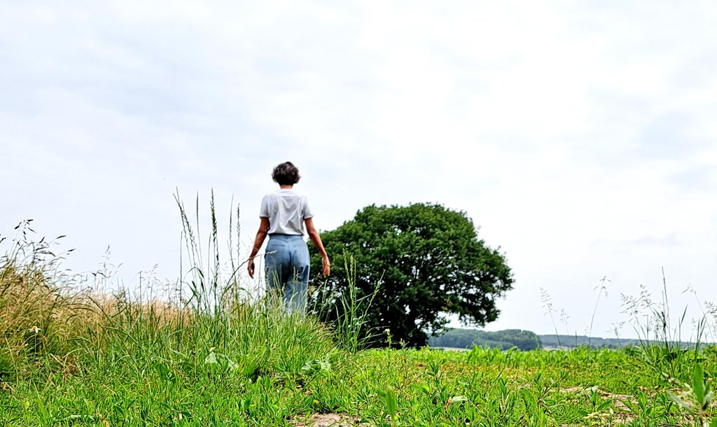 Een zee van zacht deinende vlasbloempjes - Het licht aan het eind van de tunnel -  en mijn coiffure die verdacht veel op de eik lijkt (l-eikt 😜) #wanderlust #Boutersem