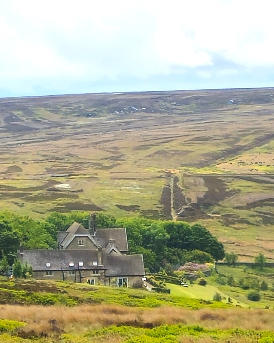 blood_business's tweet image. Ever been to Moscar Moor? It's a knackered grouse farm near #Sheffield owned by the Duke of Rutland. Moscar Lodge is laughingly described as a 'countryman's paradise'. The sort of countryman who nips up from the city to kill the local wildlife, perhaps...
bloodbusiness.info/business/mosca…