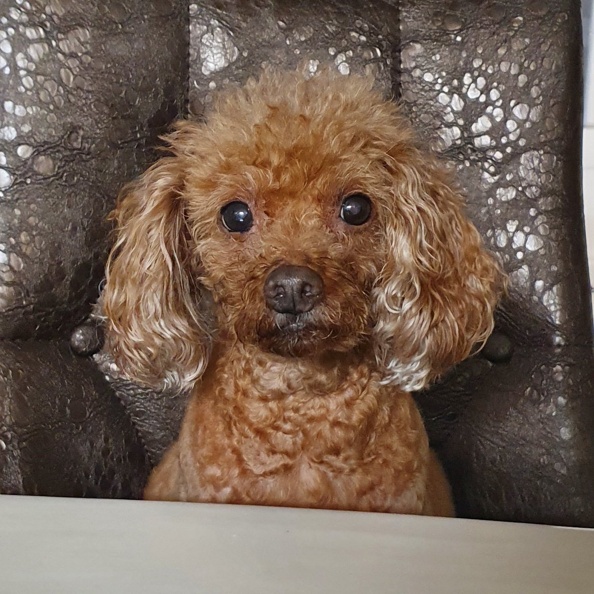 📋9O📋 tweet media