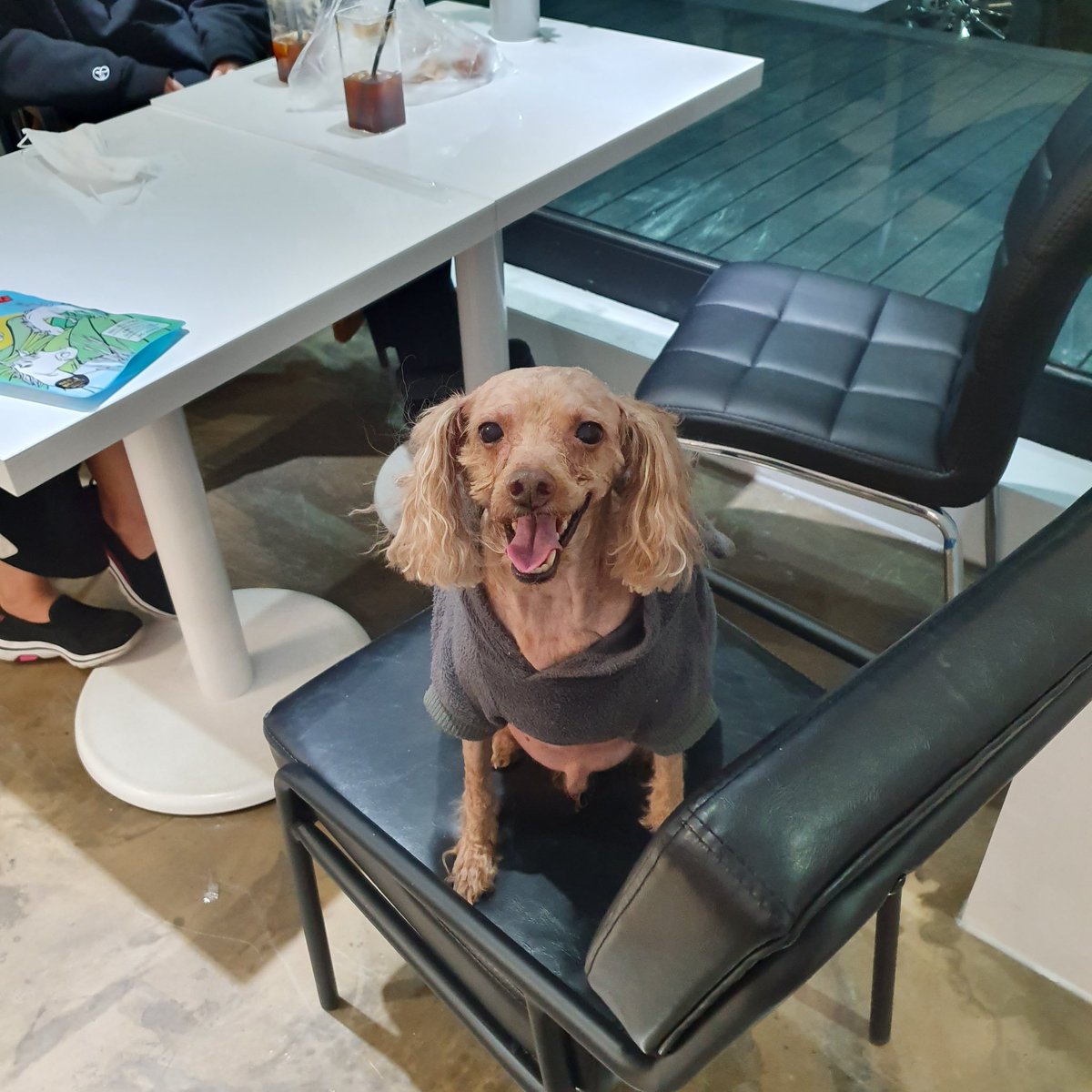 📋9O📋 tweet media