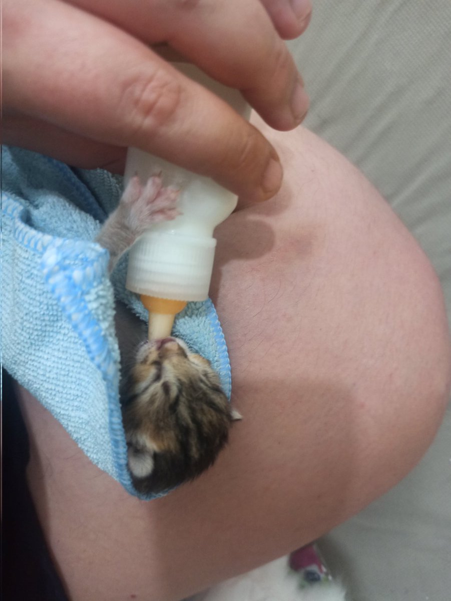 Çok öbür bu bebek ya 🥰