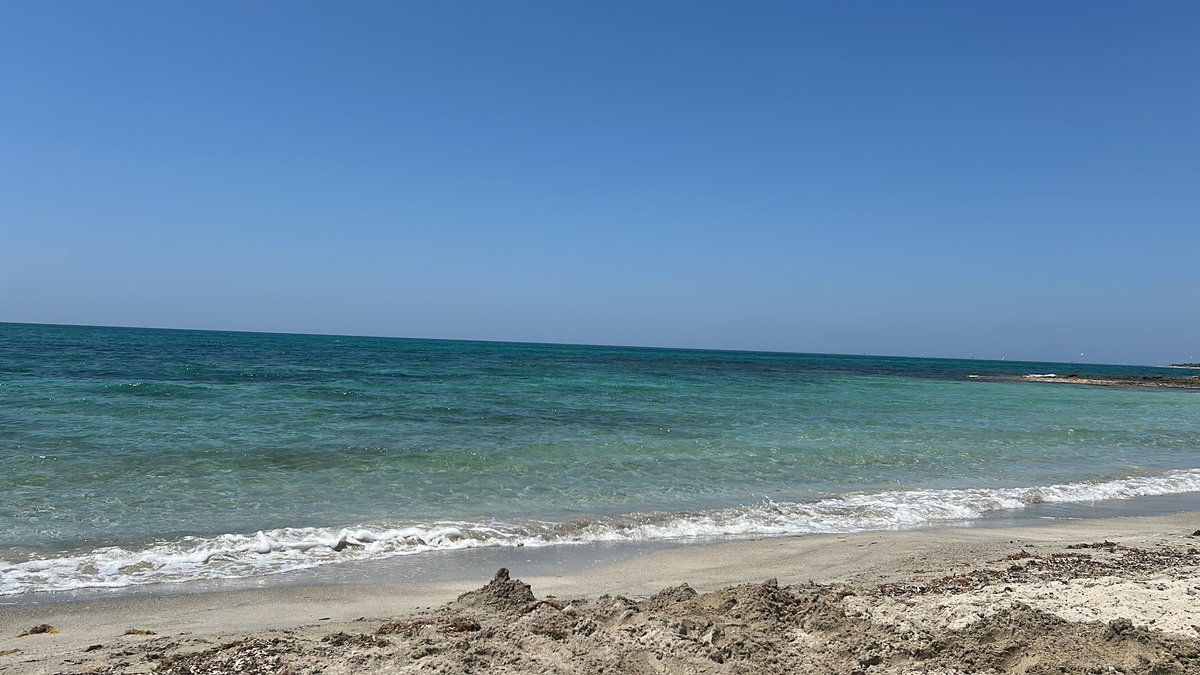 0x_NullDev's tweet image. Relax