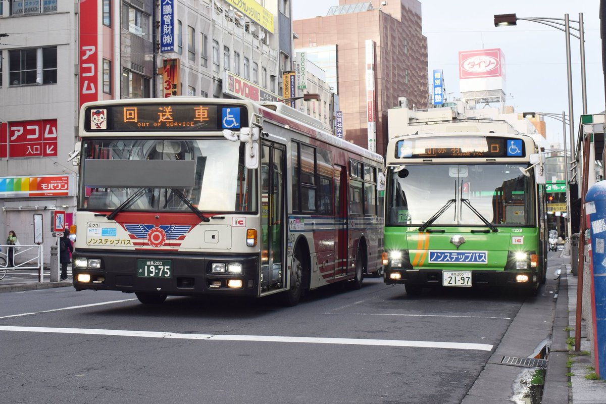 2023もも0415　白州 2023もも0415様専用 白州