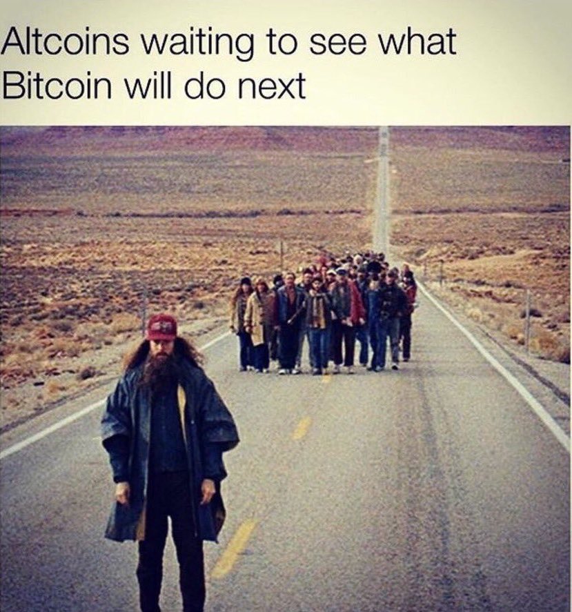TylerDurden's tweet photo. https://t.co/TdAmwBLLeM