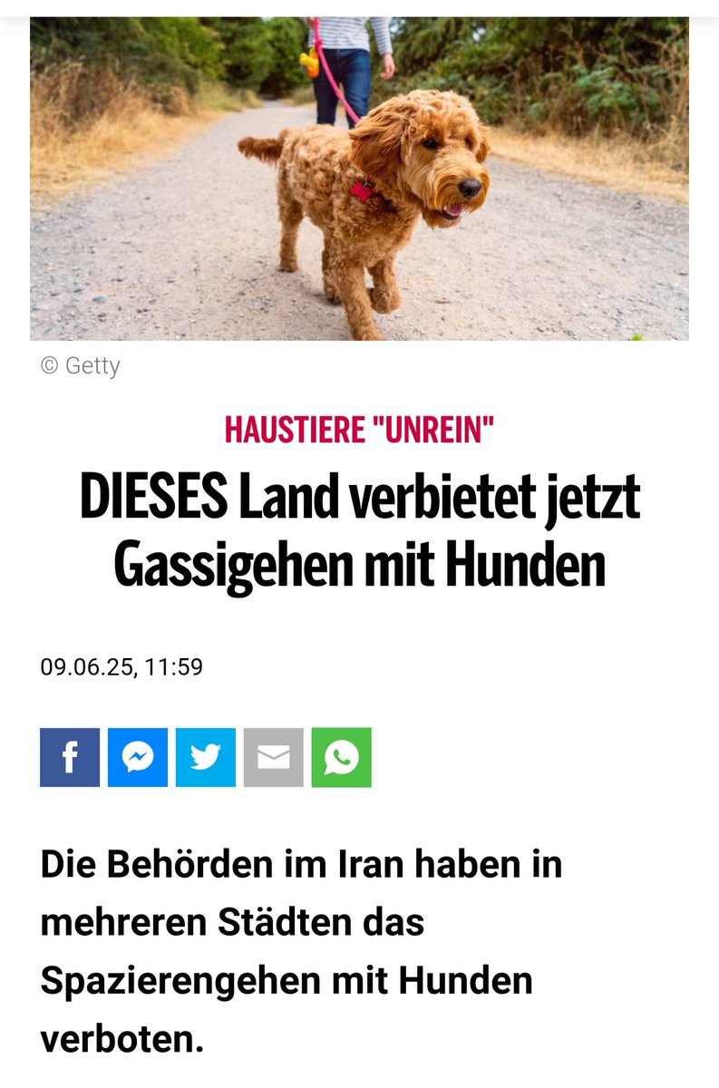 Natürlich ist es wesentlich "reiner" seinen stinkenden Lölles täglich in einer Ziege zu positionieren. 😂