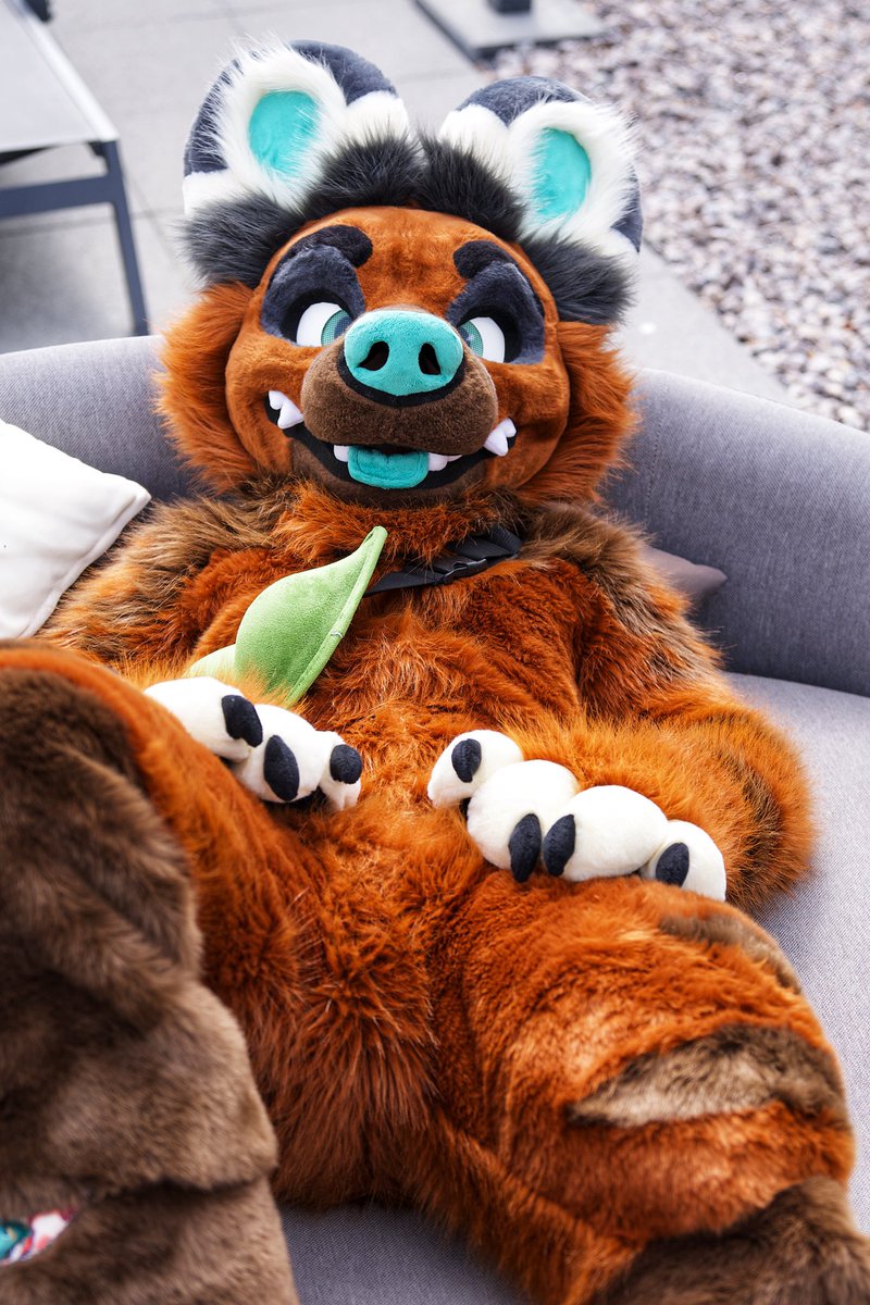 Oh Hi, didn’t see you there
📸<a href="/ThisDogThing/">Yellski</a>