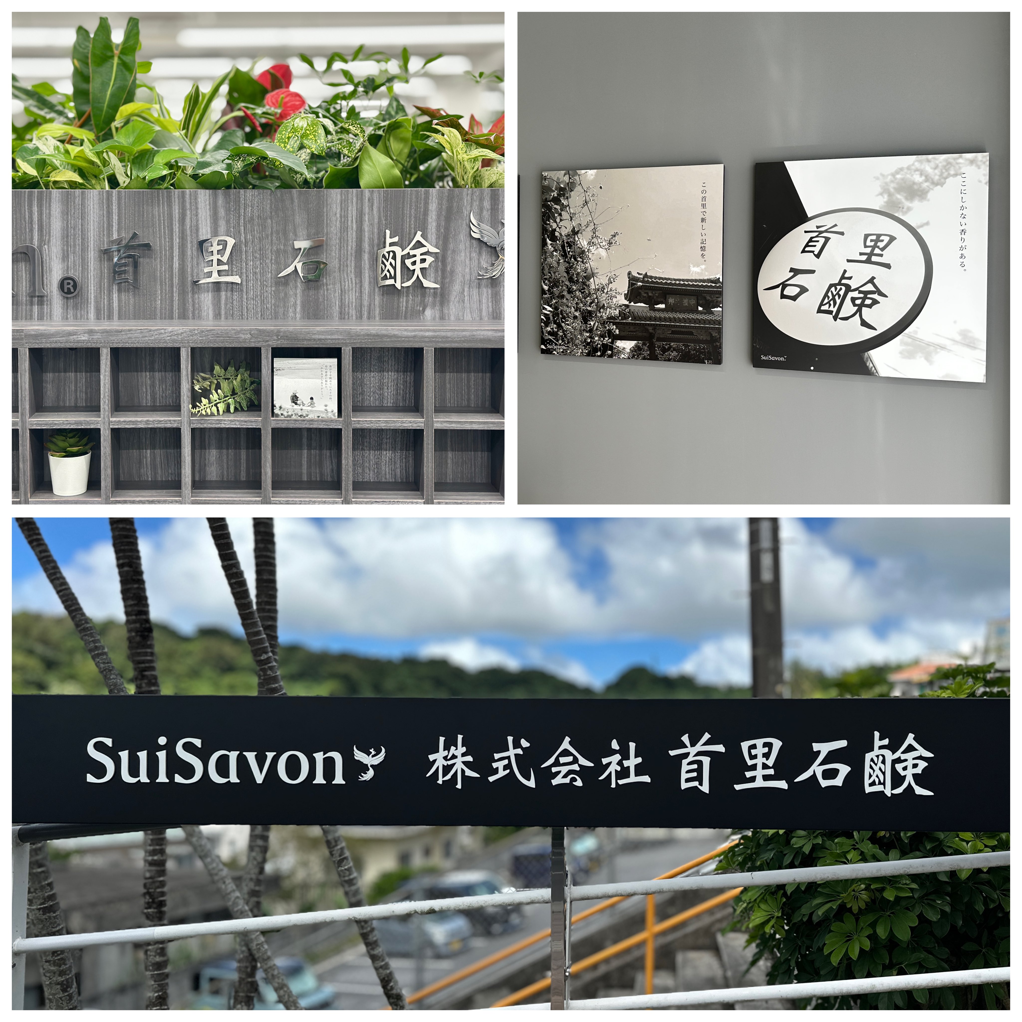 suisavon−首里石鹸− (@suisavon) / X