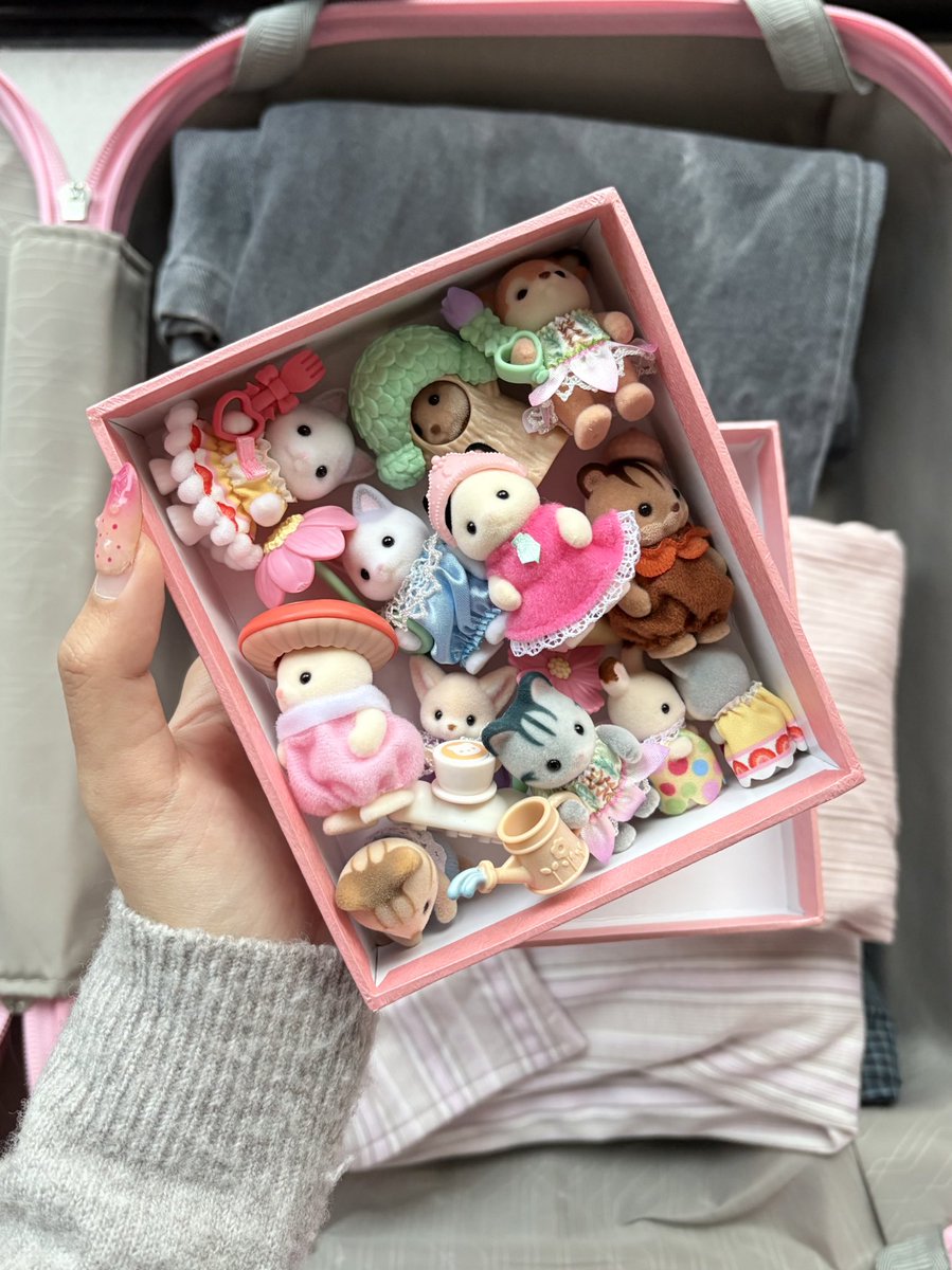 ౨ৎ nj ˚⊹🪽 tweet media