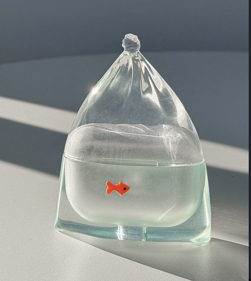 goldfish airpods case