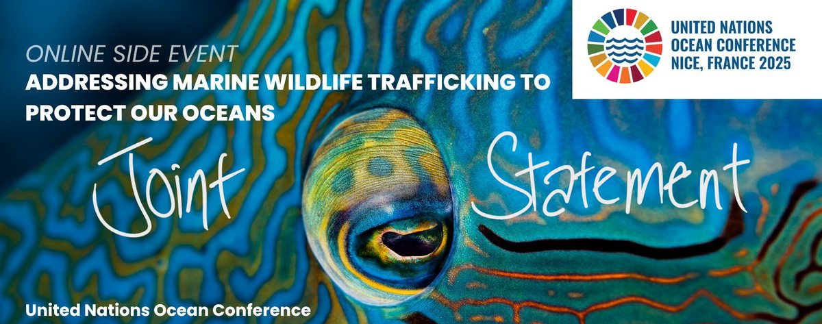 We have today issued a joint statement to the UN Oceans Conference (UNOC) on the need to address marine wildlife trafficking to protect our oceans. It draws upon our UNOC virtual side event on the same theme last week. See bit.ly/3TebwsB