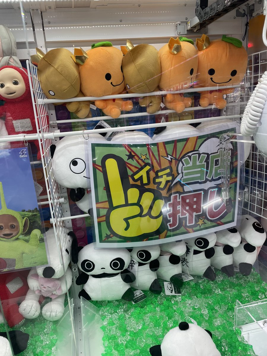 石川県には在庫がいっぱいありました😌(地元)