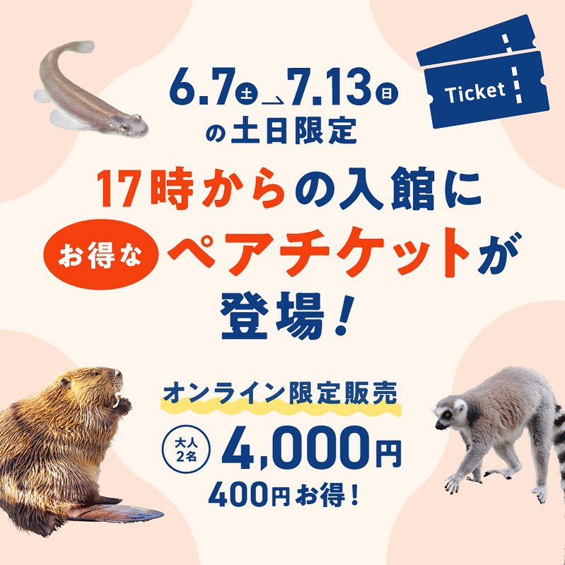 7/13までの土日は
17時からの入館がお得！

#トワイライトペアチケット が期間限定で登場中✨

大人2名で400円もお得に、夕方からのニフレルを楽しめます。

詳細・ご購入はこちら
▶︎ nifrel.jp/eventnews/2025…
※WEB限定、当日16時までの販売です

#ニフレル