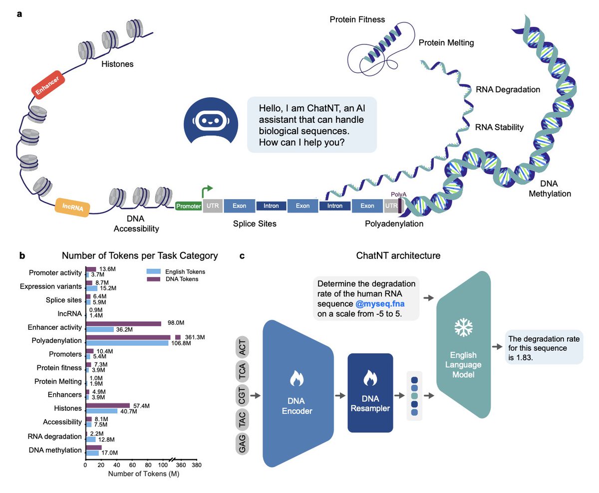 ChatNT: Bridging biology and language with a conversational agent for DNA, RNA, and protein tasks

Excited to share my latest Substack article exploring "ChatNT," an innovative conversational AI introduced by Bernardo P. de Almeida et al., that seamlessly combines DNA foundation