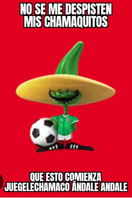 liga Meiga tweet media