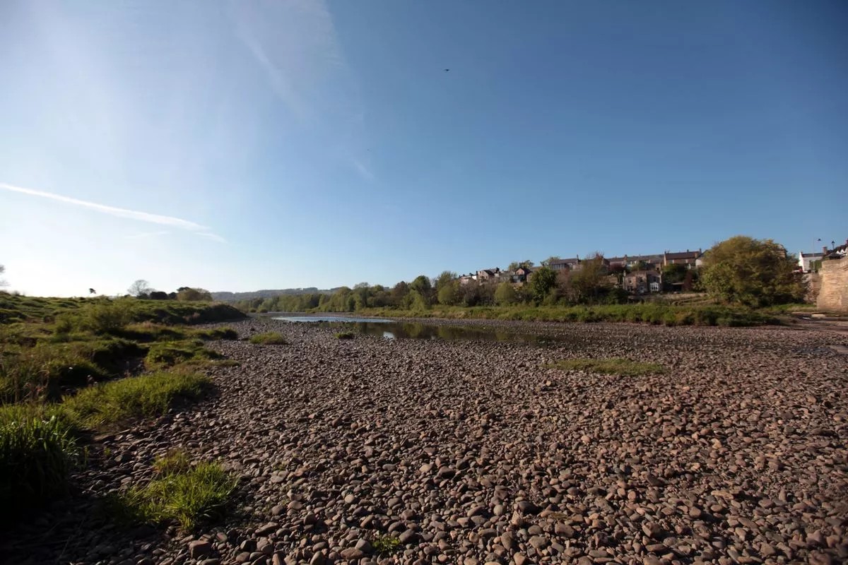 Read our Spring Fisheries Report, which details the worrying effects that the period of very dry weather has had on our rivers and their inhabitants. 
tyneriverstrust.org/spring-fisheri…
Picture credit: Evening Chronicle