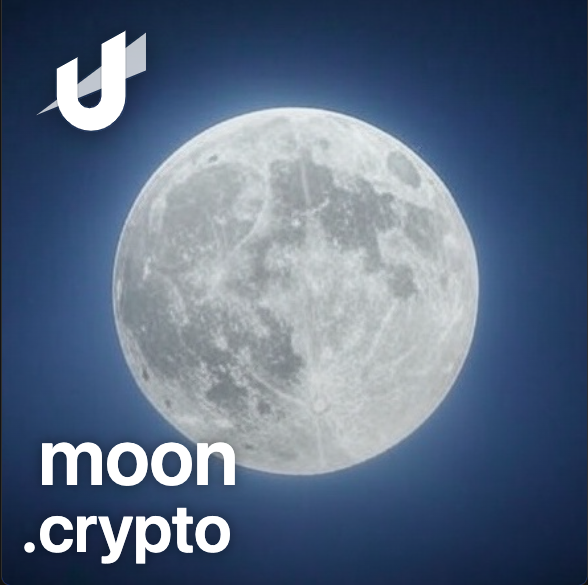 Captain Bitcoin tweet media
