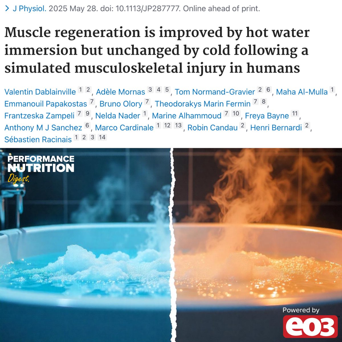Muscle regeneration is enhanced by hot (but not cold) water immersion 🌡️

This new study investigated the effects of three different thermal treatments…

❄️ Cold water immersion (CWI 15 min at 12°C)

➖ Thermoneutral (TWI, 30 min at 32°C)

🌡️ Hot water immersion (HWI, 60 min at