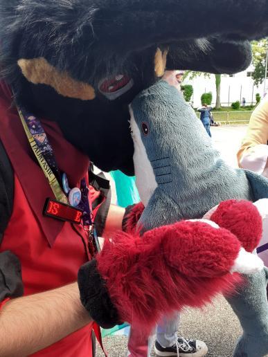 "Look at me son your are dumb like me"