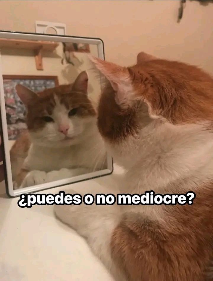 En_jupiter_'s tweet photo. De mi para mi. https://t.co/Q7l6W7yca5
