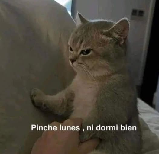 En Júpiter (@en_jupiter_) on Twitter photo 