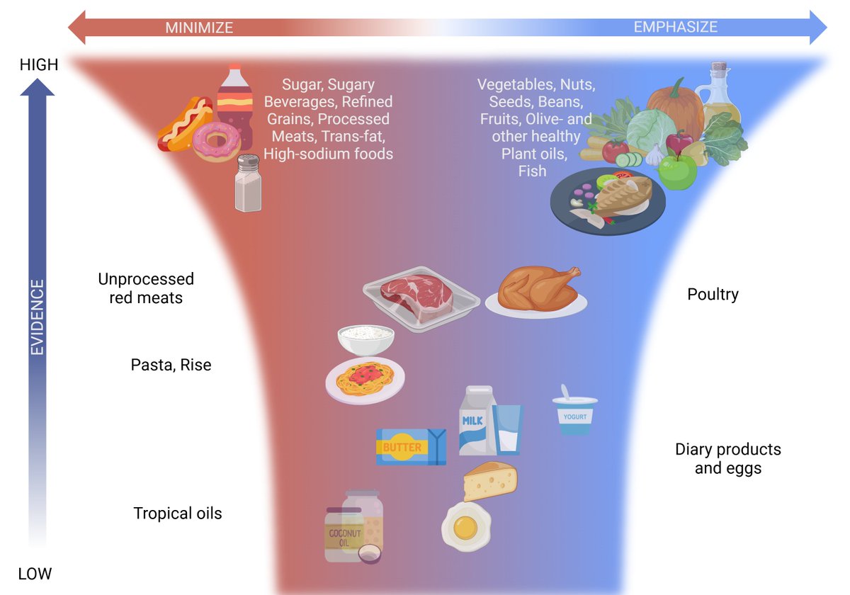 🍽️ Can diet really improve cardiometabolic health?
⏳ Is intermittent fasting helpful? And what about artificial sweeteners, eggs &amp; meat?
We review the latest scientific evidence here
🔗 cardiab.biomedcentral.com/articles/10.11…
 #nutrition  #CardiometabolicHealth 
 <a href="/Diana_Le_Duc/">Diana Le Duc</a>  <a href="/P_Paolisso/">Pasquale Paolisso</a>