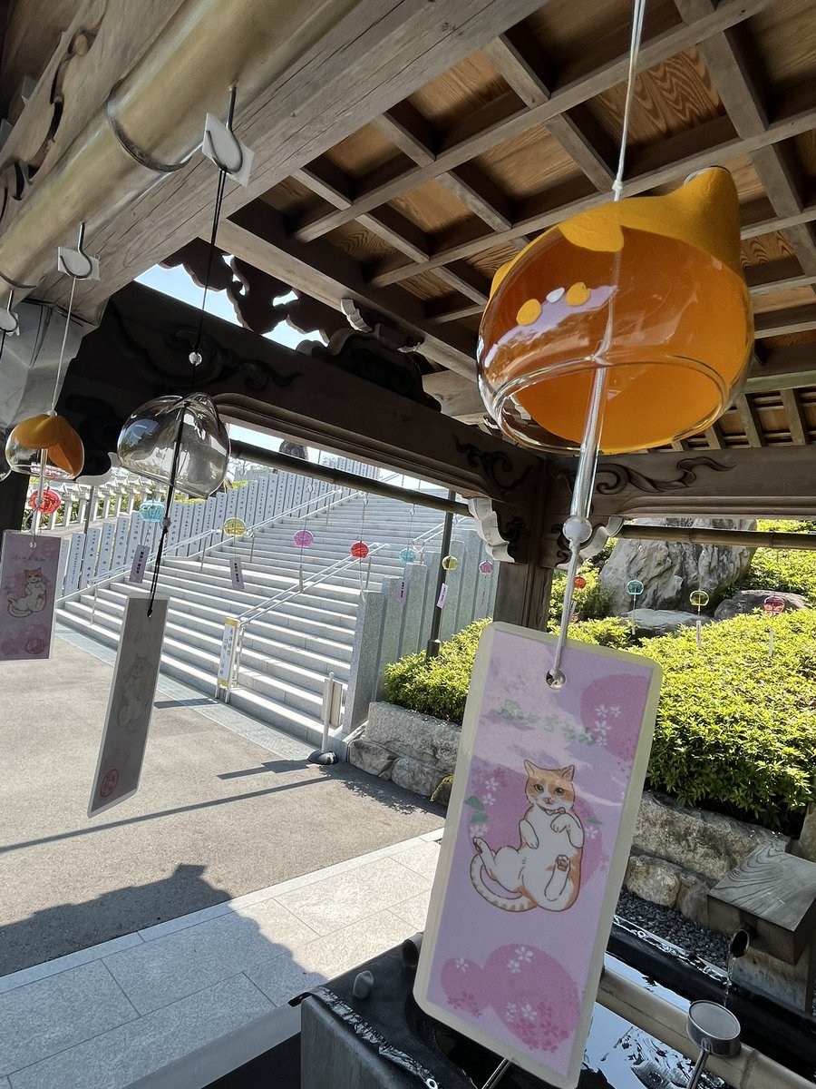 rendai_ji's tweet photo. 今年は総本殿前の手水舎に風鈴を飾っています。
奉納や持ち帰り用もございますので是非お越しください。 https://t.co/uxReWhrvv0