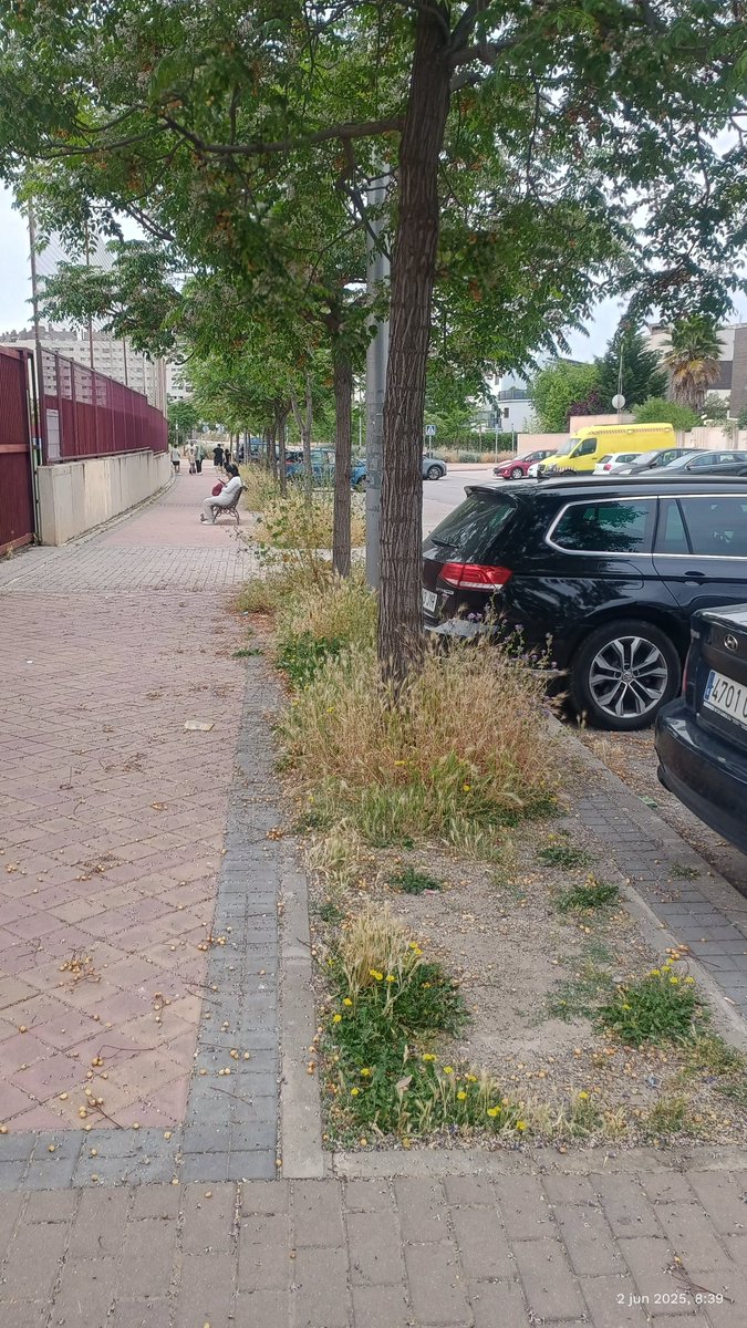 carlosfg11's tweet photo. @Lineamadrid reitero la petición para que desbrocen los parterres de la calle Embalse de Manzanares junto al perímetro del colegio Loyola de Palacio. Si pudiera ser el resto del barrio, que estar igual, pues también. Gracias. https://t.co/5itv4GbUxU