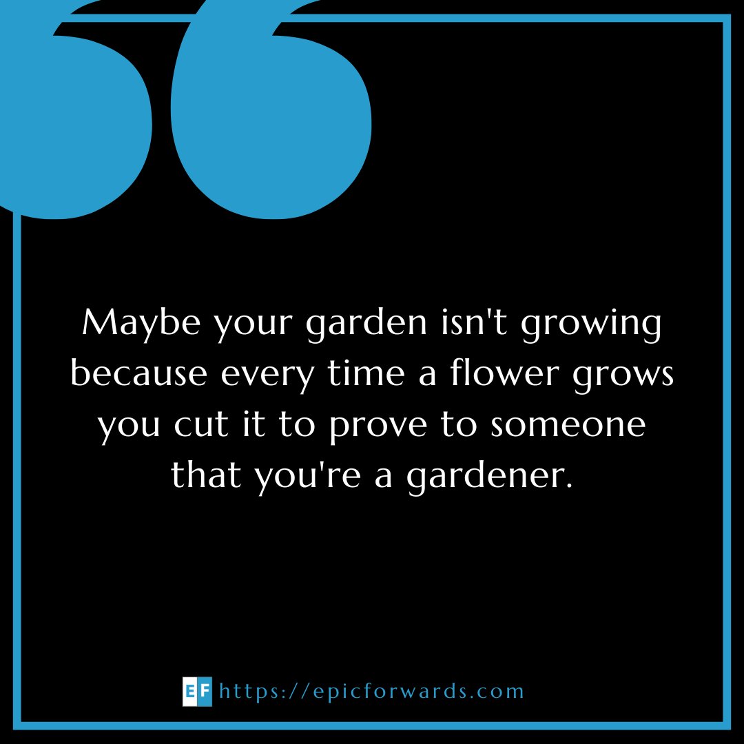 ForwardsEpic's tweet photo. #quotes #wisdom #epicforwards https://t.co/lMfsvoKsQ9