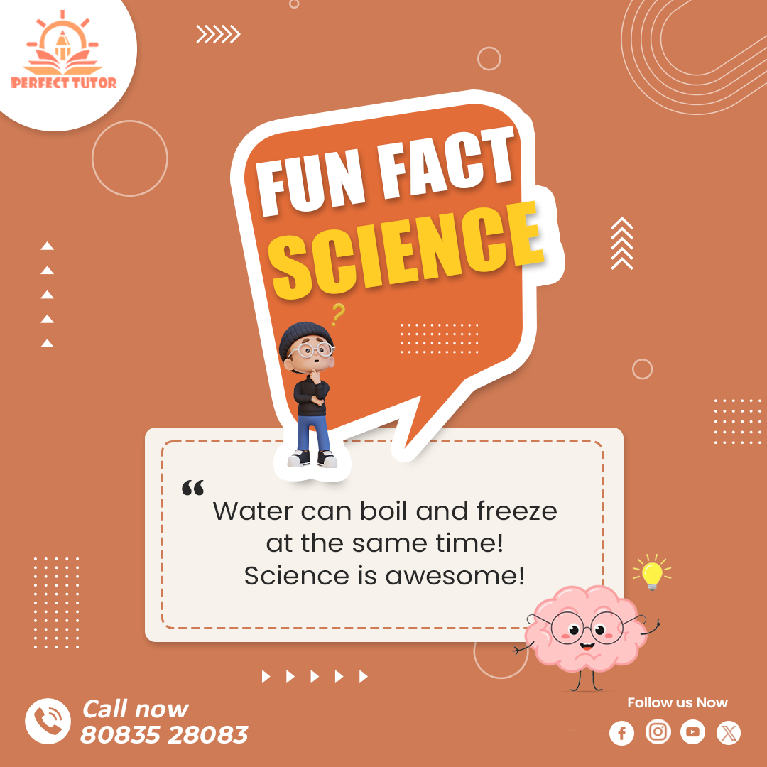 perfect_tutor_'s tweet image. Science is all around us! 
.
Did you know water can boil and freeze at the same time under certain conditions? 
.
Stay curious, keep exploring!
.
#ScienceIsFun #SubjectSpotlight #LearnScience #FunFacts #PerfectTutor #HomeTutor #STEMEducation #StudentLearning #ScienceLovers