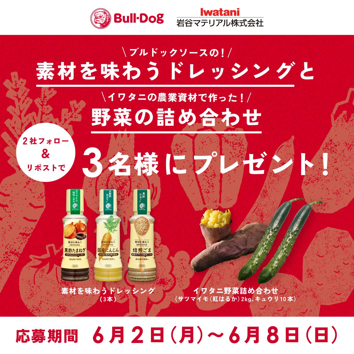 ブルドックソース株式会社 (@bulldogsauce_) on Twitter photo \ \ キャンペーンのお知らせ / /
イワタニやさい部【公式】さんとコラボキャンペーン開催✨
イワタニ野菜の詰め合わせと素材を味わうドレッシングが当たるチャンス💯
【応募方法】
✓2社( @BULLDOGSAUCE_ と <a href="/iwatani_yasai/">イワタニやさい部【公式】</a> )をフォロー
✓この投稿をリポスト
【応募期間】6月8日(日)23:59迄 \ \ キャンペーンのお知らせ / /
イワタニやさい部【公式】さんとコラボキャンペーン開催✨
イワタニ野菜の詰め合わせと素材を味わうドレッシングが当たるチャンス💯
【応募方法】
✓2社( @BULLDOGSAUCE_ と <a href="/iwatani_yasai/">イワタニやさい部【公式】</a> )をフォロー
✓この投稿をリポスト
【応募期間】6月8日(日)23:59迄