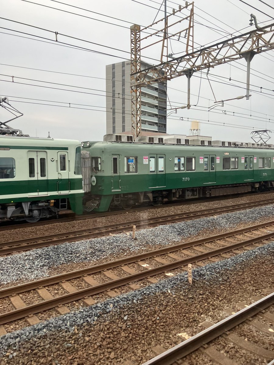 ミナくま tweet media