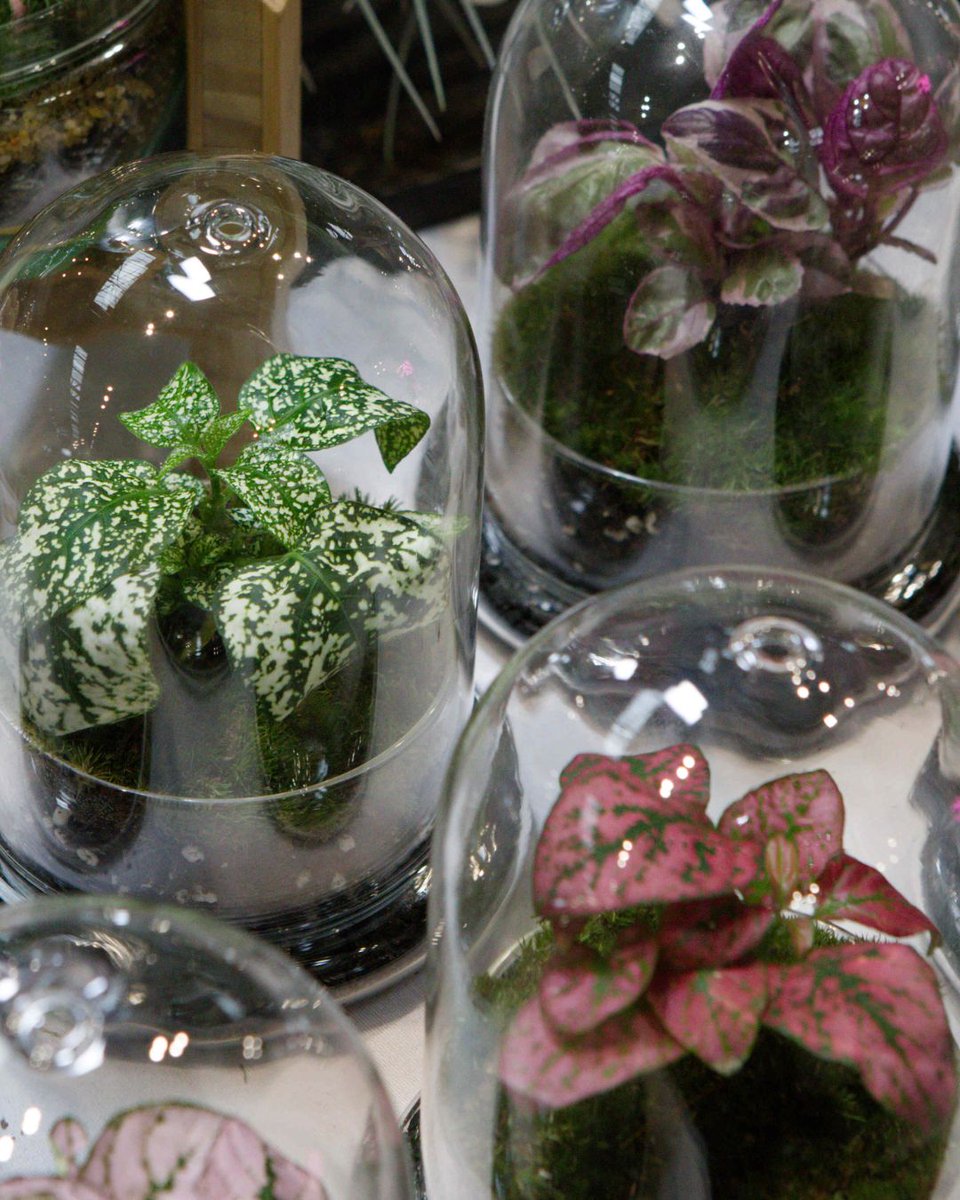 BBCGWLive tweet media