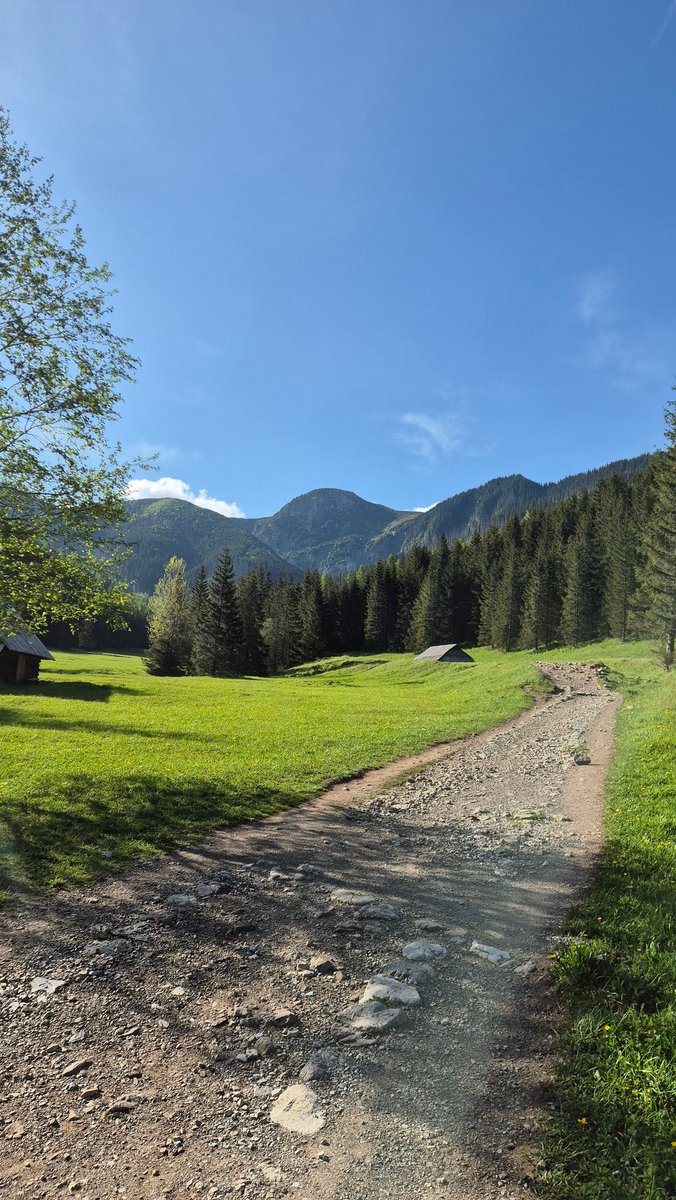 Ja już w połowie drogi na Słowację, żeby założyć prezydenturę na uchodźstwie 🤭