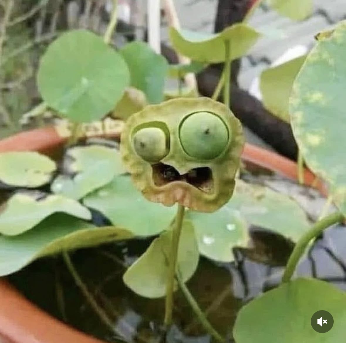 Я тоже, цветочек, я тоже.