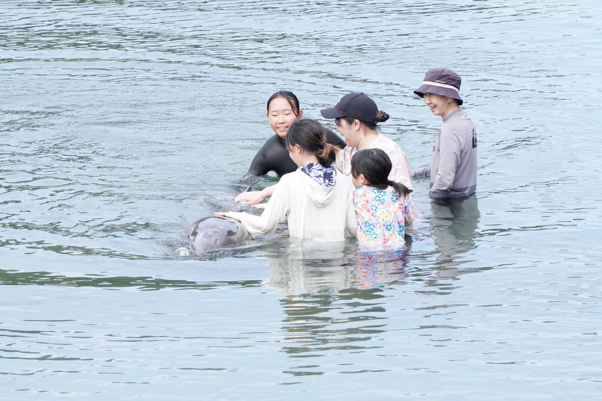 Dolphin_Beach_'s tweet photo. 両手にイルカ
#ドルフィンスイム #イルカと泳ぐ #海が好き #イルカ #ダイビング #dolphin #dolphinswimming #pool #下田海中水族館 #下田 #伊豆 #水族館 #体験ダイビング #ドルフィンダイビング #いるか #カマイルカ #イルカと泳ぎたい https://t.co/tAd7MU4R8J