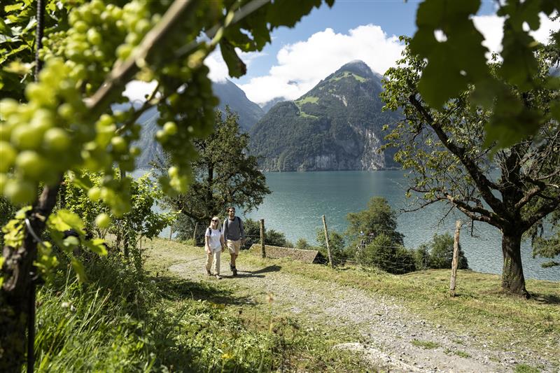 🌊SEEN-HOPPING IN DER REGION LUZERN-VIERWALDSTÄTTERSEE🌊
Ein Sprung in den Vierwaldstättersee, Windsurfen im Urner Föhn oder ein Sundowner am Wasser - der Sommer in der Region Luzern-Vierwaldstättersee hat einiges zu bieten🏄🍹

Weitere Infos👉bit.ly/seen-hopping