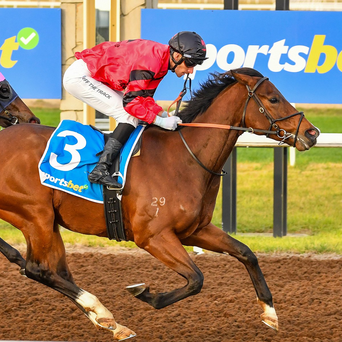 Southside Racing (@sthsideracing) on Twitter photo .<a href="/jamieleemott/">Jamie Mott</a> holds the record for most wins on the Sportsbet-Pakenham synthetic, a record he's extended with a treble this afternoon ! 🏇 .<a href="/jamieleemott/">Jamie Mott</a> holds the record for most wins on the Sportsbet-Pakenham synthetic, a record he's extended with a treble this afternoon ! 🏇